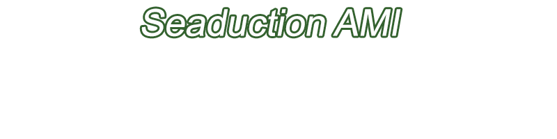 Seaduction AMI, Vacation Duplex